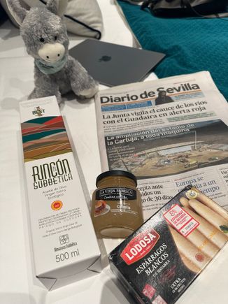 That's the little burro, Platino, who lives at the hotel.
I also bought a nice-sized chunk of cabrales cheese from Asturias to have for snacks in my room.  The onion jam was less than 3 euro; I use this at home for little toasts, with sliced pears and smoked mozzarella, a nice dinner with a salad.   I think I paid about 10$US at Whole Foods for a different (Calabrian) type in a tiny jar.....look at me, shopping for supermarket bargains to bring home.  I even bought some purple garlic!