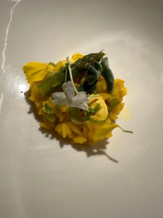 Arroz meloso, a "wet" rice dish golden from saffron; there's another ingredient but I've forgotten...I need to go back to toting my little notebook to restaurants, instead of relying on the photos alone to remember details