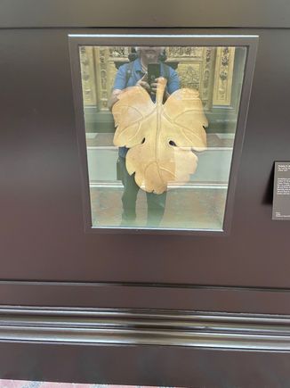 This is the fig leaf that was applied to the plaster cast of the statue of David by Michelangelo.  This was necessary because in Victorian times, the ladies had a hard time looking at David in the eye! Hey eyes up here! This is very funny, I mean Victoria had 9 children so at least someone knew what was behind the fig leaf