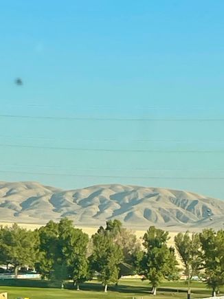Hills and Trees at the bottom of the Grapevine