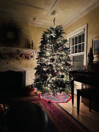 Finished tree. Nathan is always so patient about putting on a million lights. 