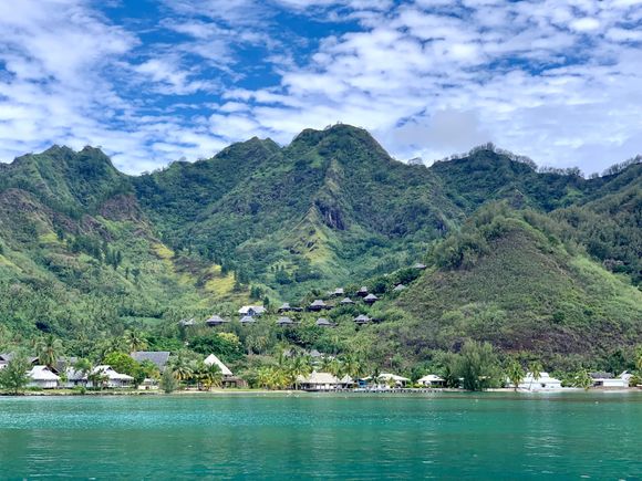 Going snorkeling. It was the best here. Lots of different and colorful fish.
