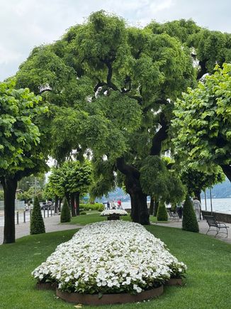 Pretty gardens along the waterfront in Menaggio