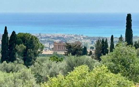 View of the Temple of Concordia from our terrace