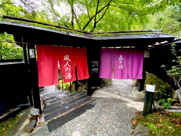 If I remember correctly, both these curtains are for the women's baths. The red curtain is for the female guests of the ryokan; the pink curtain leads the non-guests to the bath house that they are to use. 
