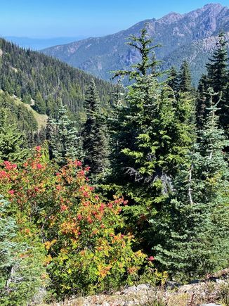 We didn't have the color that yk posted, I think because it's a month later than her trip