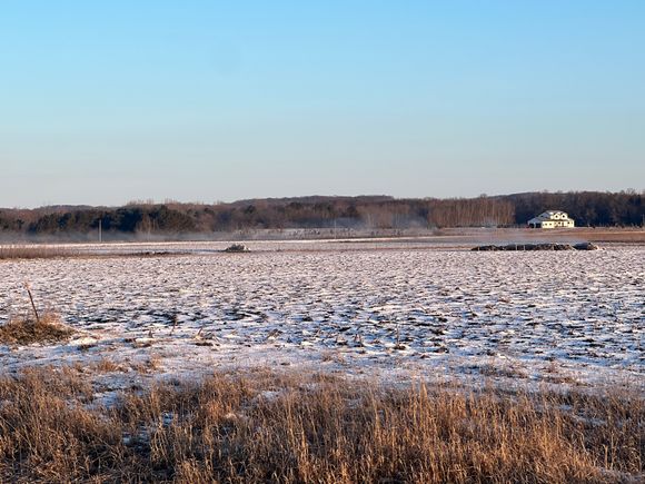 That house belongs to my chiropractor.
