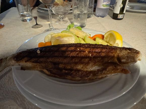 and my troute dinner