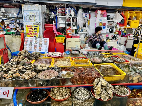 Second largest fish market in Korea (maybe…)