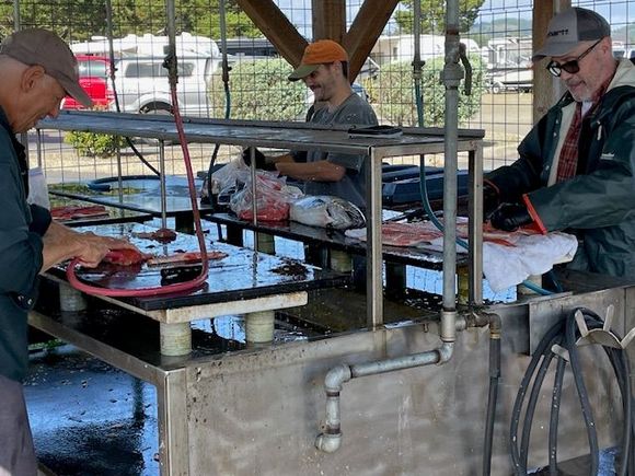 These gentlemen owned their own boats and brought their catch up to the fish cleaning station to fillet and bag.