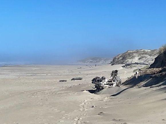 And then there is the beach, long and deserted but sunny.