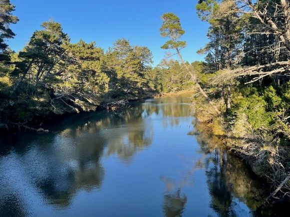 You drive over a little stretch of river to get into the park