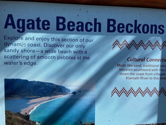 There are a lot of agates on Agate Beach, hence the name.