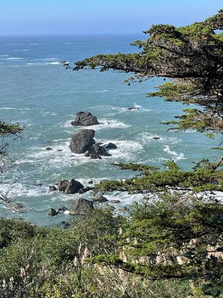 Looking out a Patrick's Point.  Can't see them, but there are about 10 gray seals down on the rocks. They are barking like dogs!