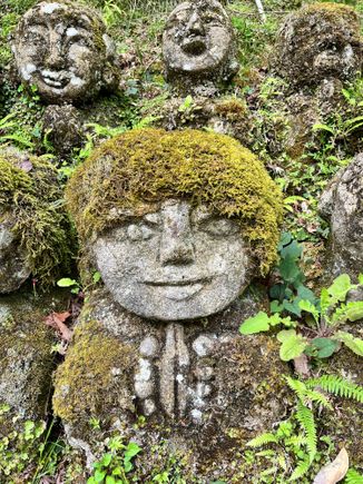 Love the moss hairdo 