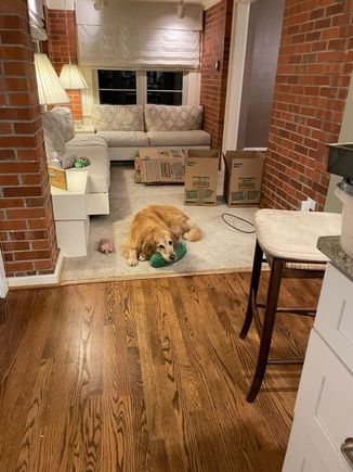 Lily in the sitting room off the kitchen. 