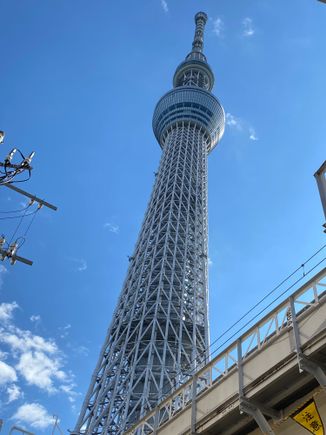 Skytree from below 