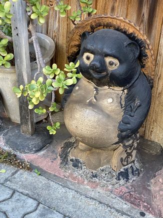 A tanuki