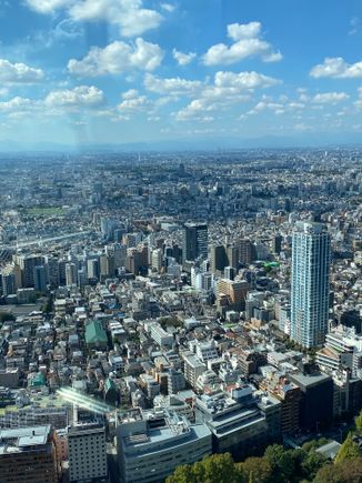 Tokyo is huuuge!