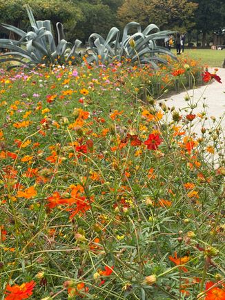 Lovely plantings 