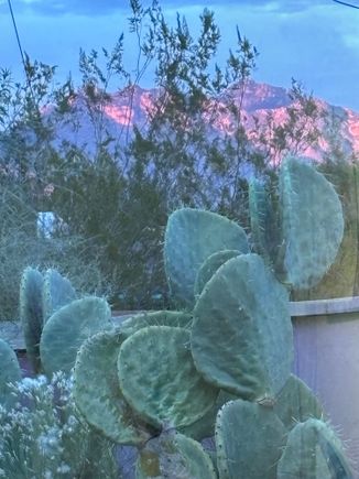 Thanksgiving sunset view from our yard. Photo by my wife. 