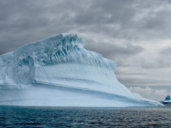 Icebergy 
