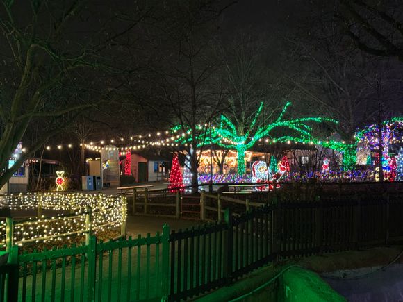 This is a small sample size of all their lights