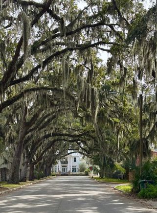 Somewhere south of the Canadian border 