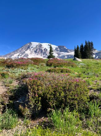 30 minutes into the hike. This view makes you forget how steep the climb is 