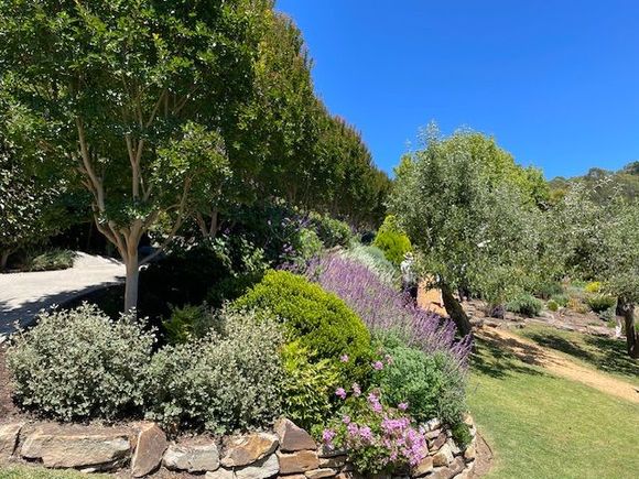 Steep block, 6000 m sq 