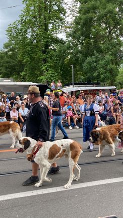 St Bernard's in the parade
