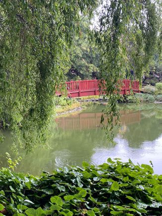 The Botanical Garden