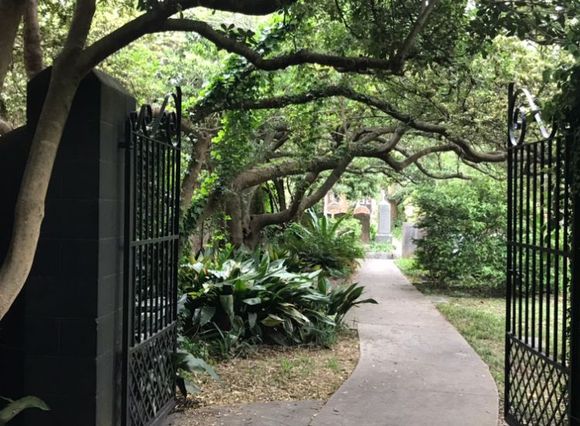 Ahh, now this is our first clue that it's not just a garden