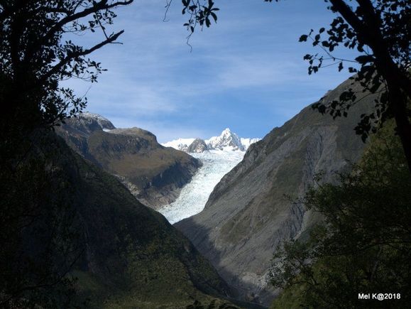 Fox Glacier from overlook 