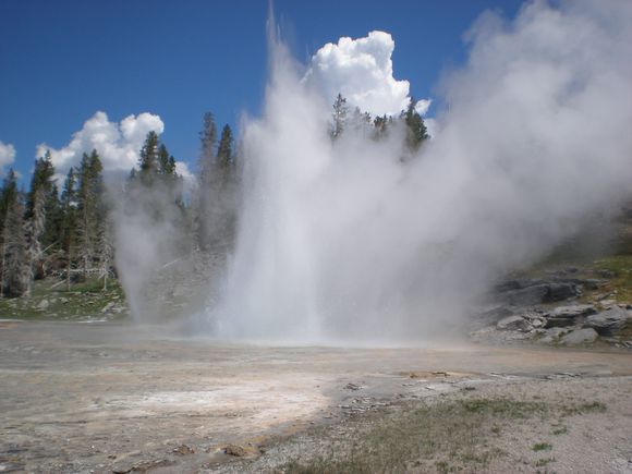 Giant Geyser is a spectacular, but highly irregular, cone geyser in Yellowstone's Upper Geyser Basin, known for its massive towering eruptions (up to 250 feet).