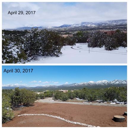 Several inches, our last storm winter 2016-17. Our driveway and view from from our den.