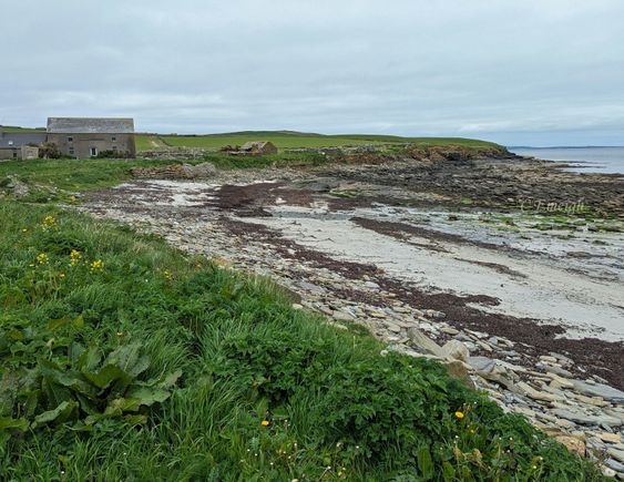 Beach near where we ate lunch