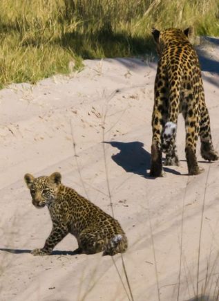 Time for a rest, mom!!