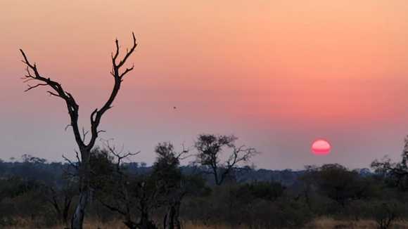 Friday morning sunrise -