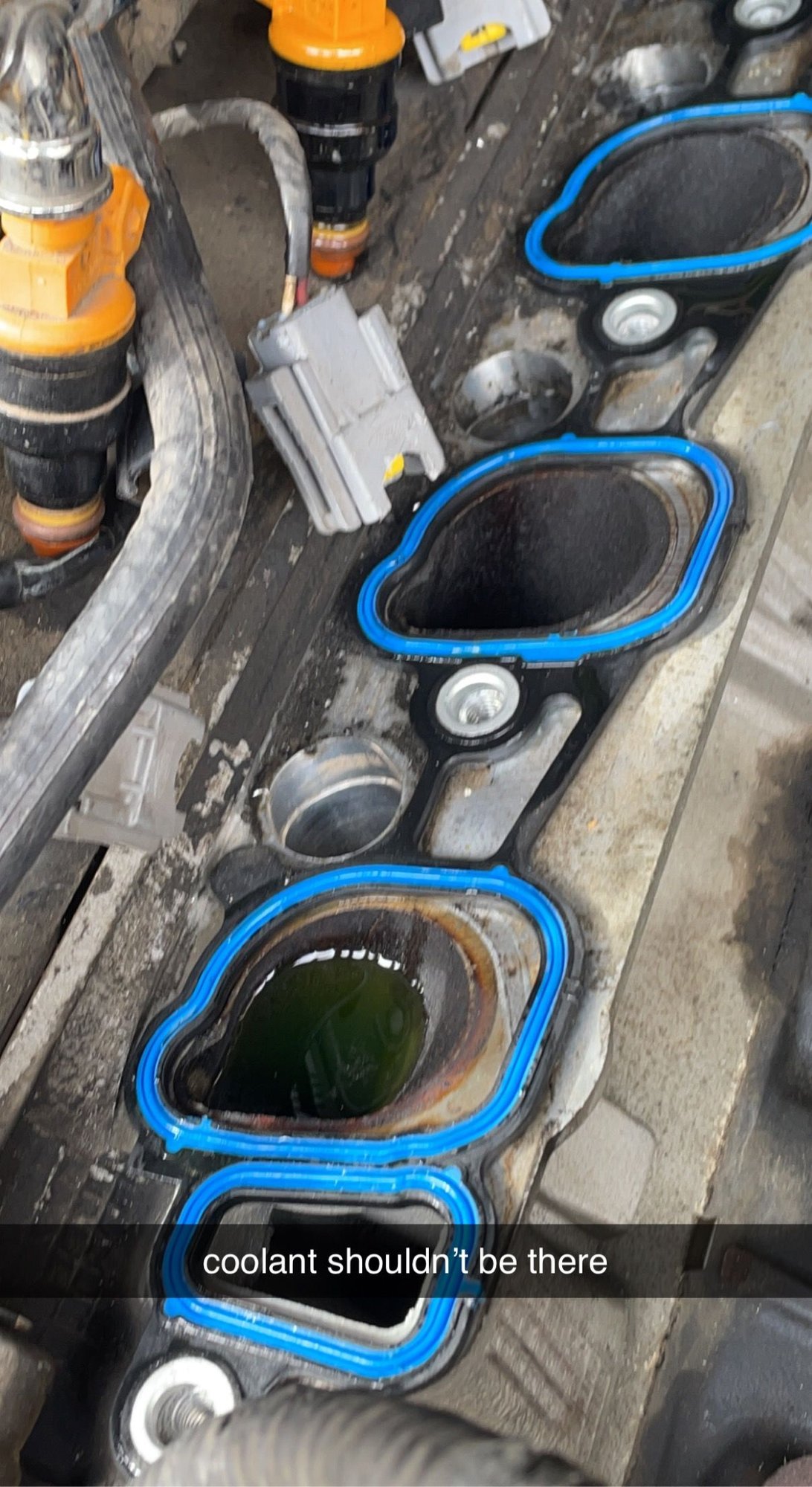Coolant in my cylinders? 1999 F250 SD Ford Truck Enthusiasts Forums