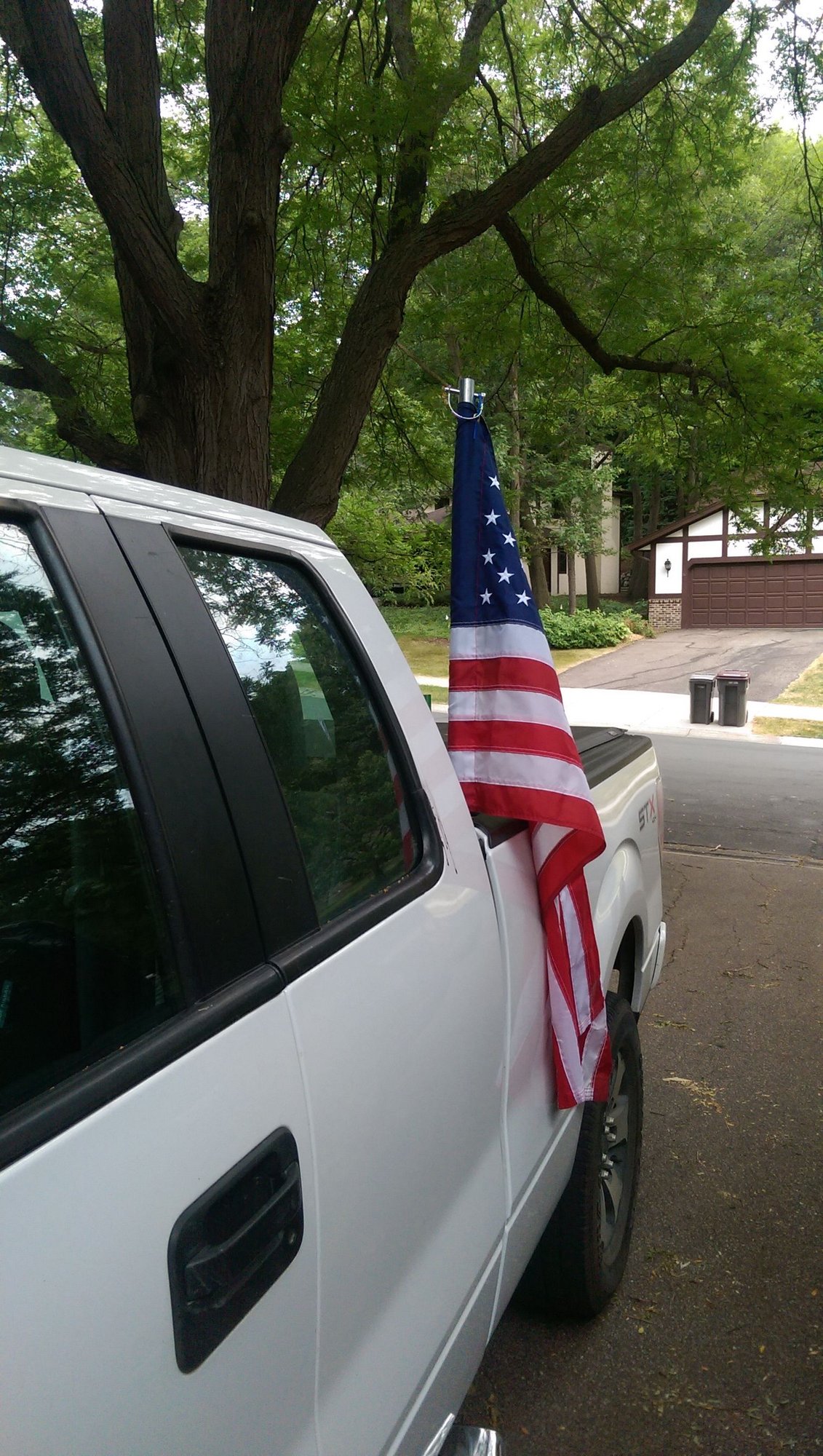 ball hitch flag pole