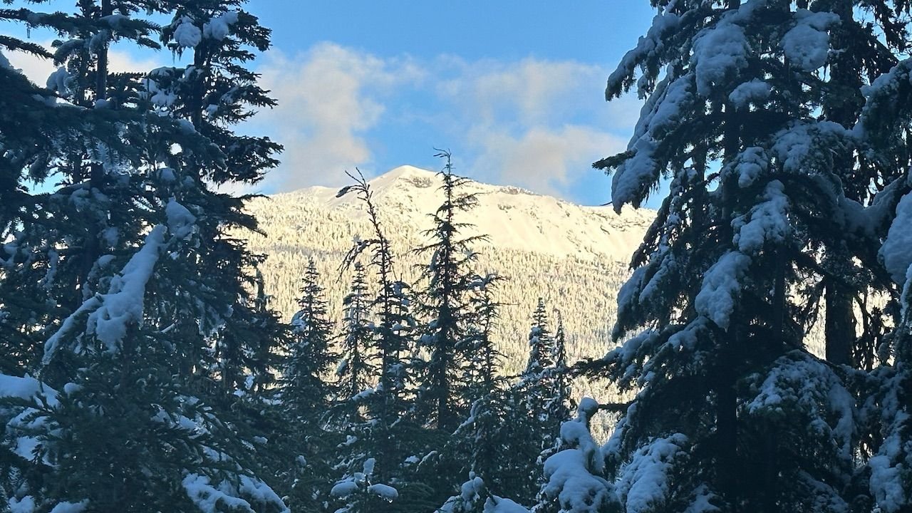 West Side of Mount Bailey from Dog Prairie.  A view you can't get from Diamond Lake.