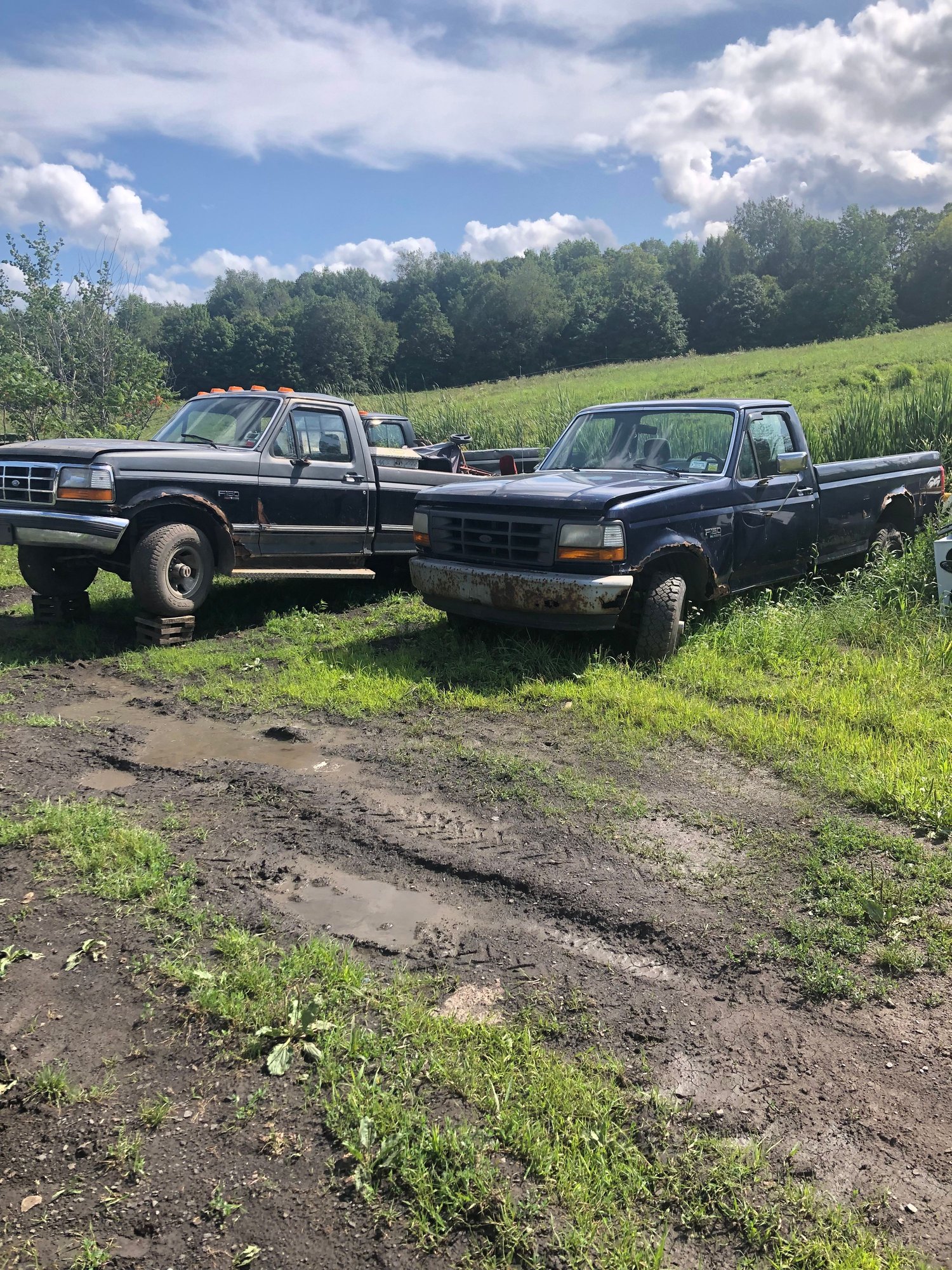 1995 Ford F-150 - Parting out obs ford trucks - Boonville, NY 13309, United States