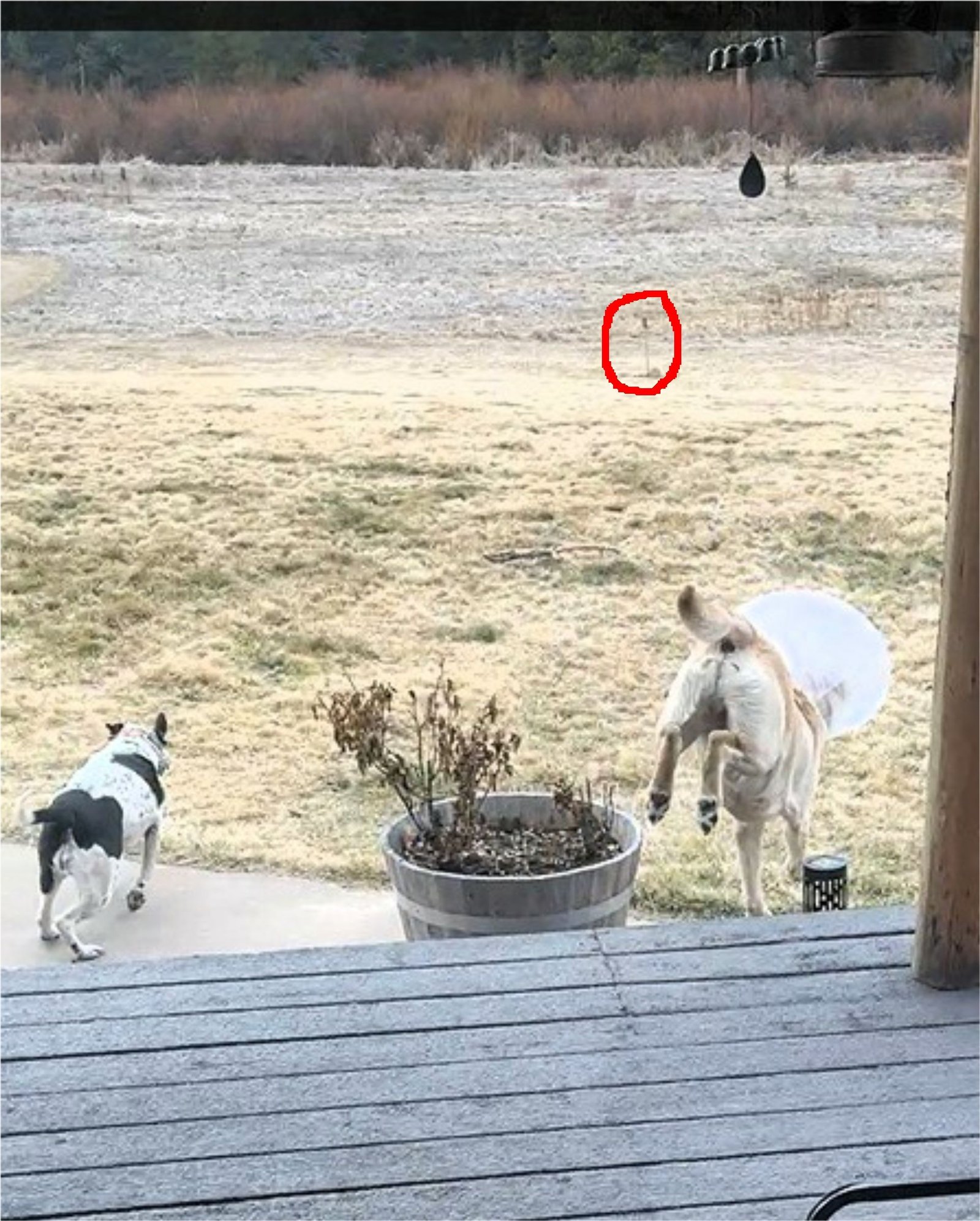 Frost Free spigot now.  No snow and no water.