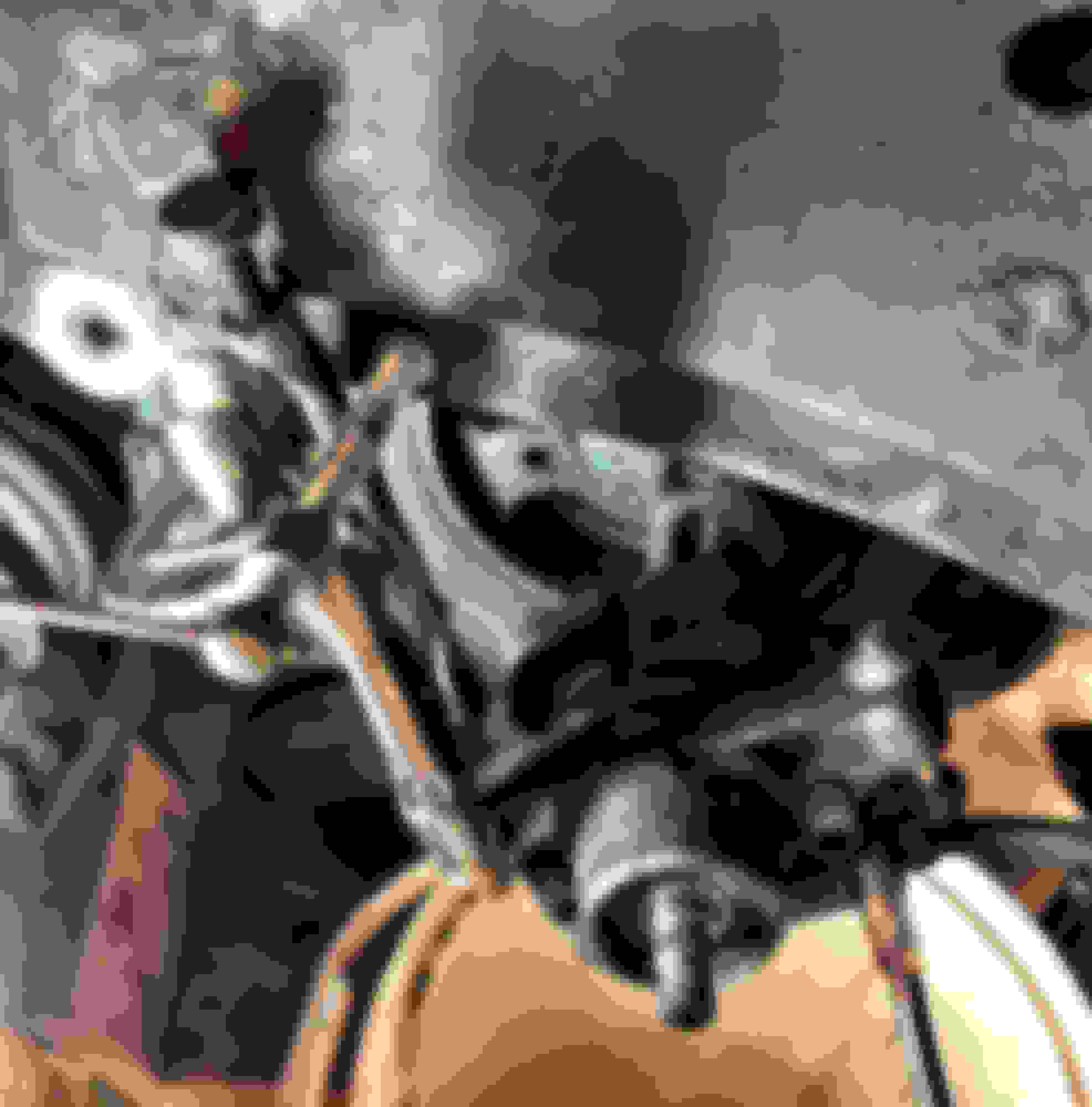 2005 Ford Escape Power Steering Pump