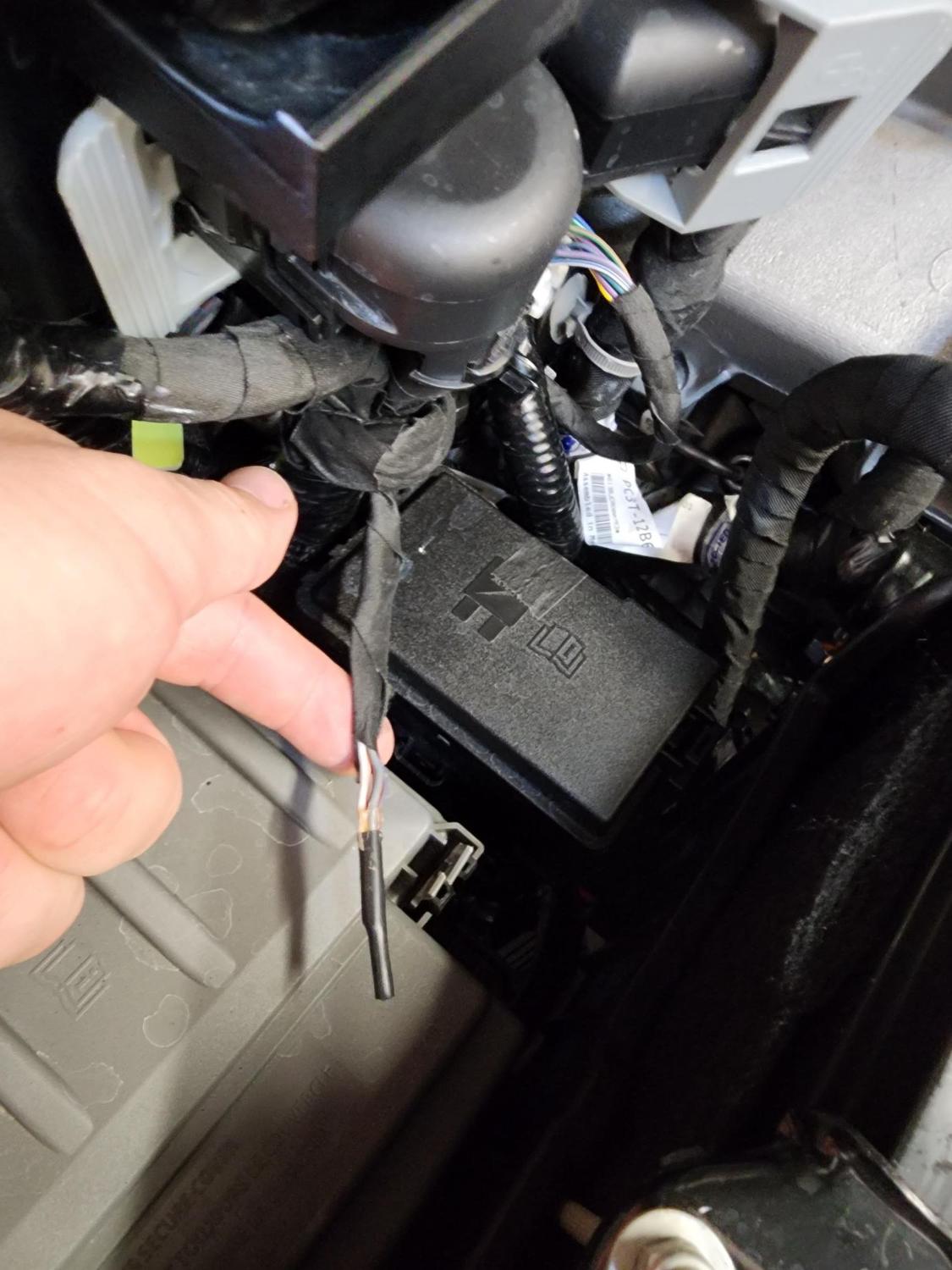 Tetrapod Zoology visual data 3