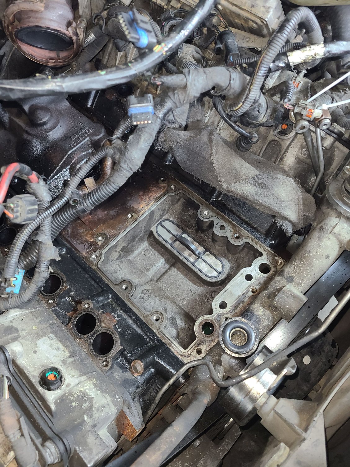 Problem after 6.0 oil cooler replace HELP PLEASE!!! Ford Truck