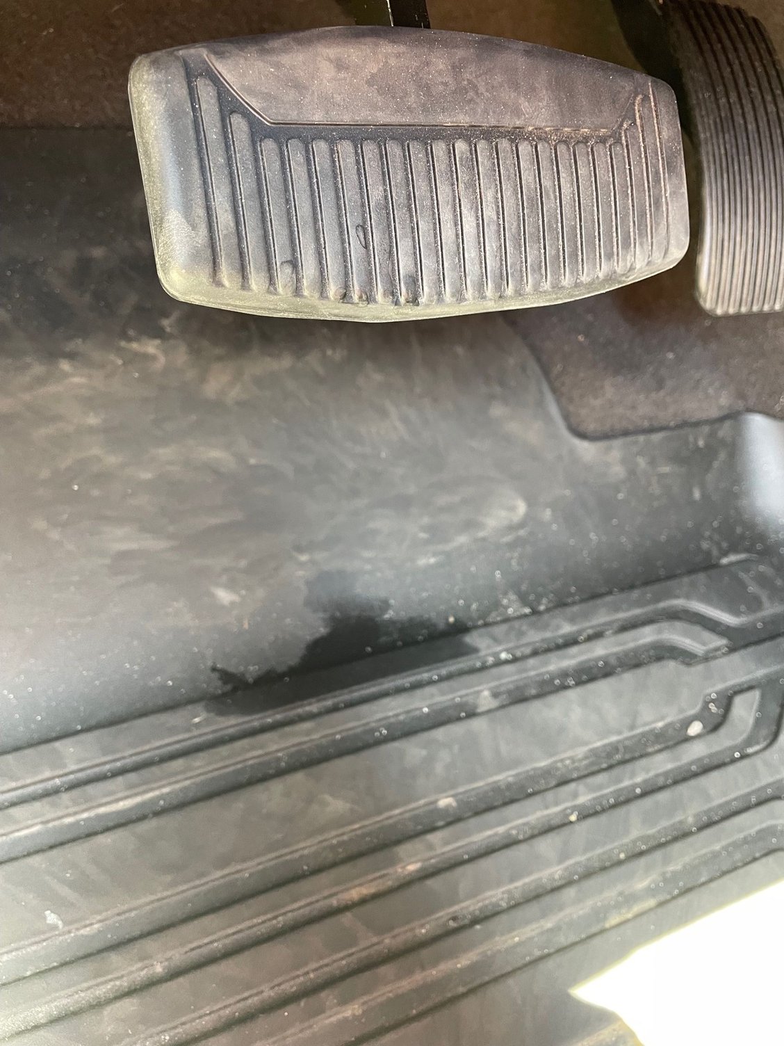 Does Anybody Lubricate their Power Running Boards? Ford Truck