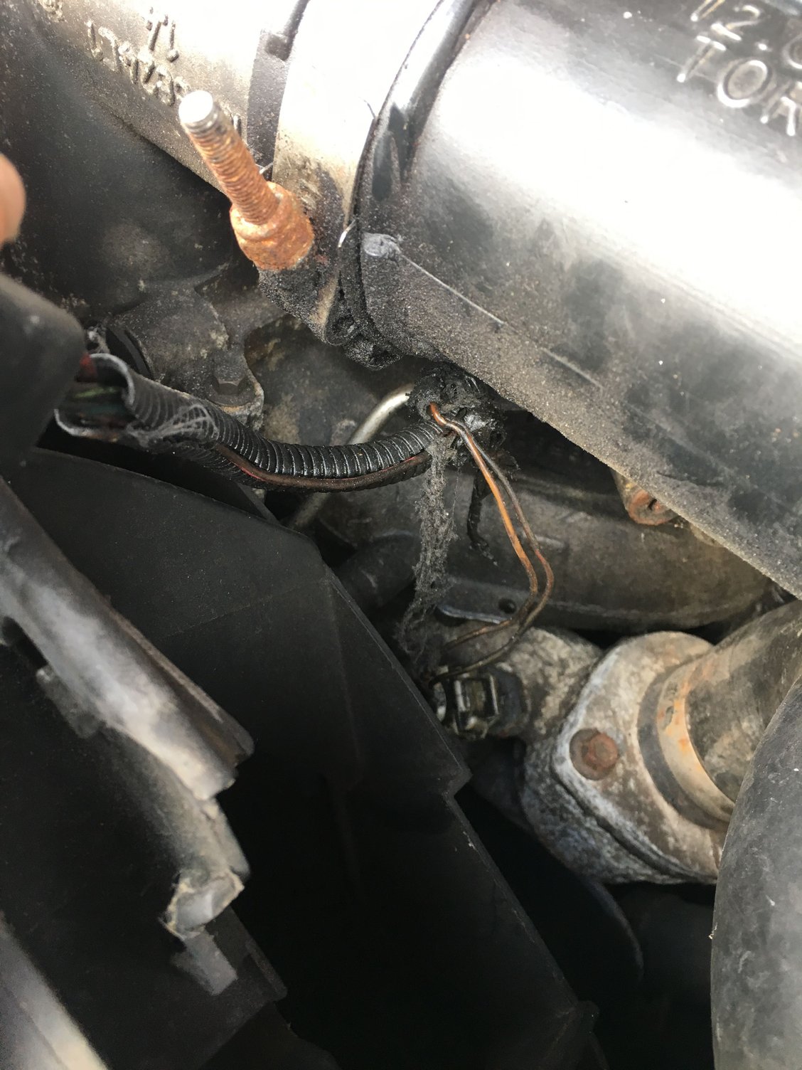 what should this be plugged into? Ford Truck Enthusiasts Forums