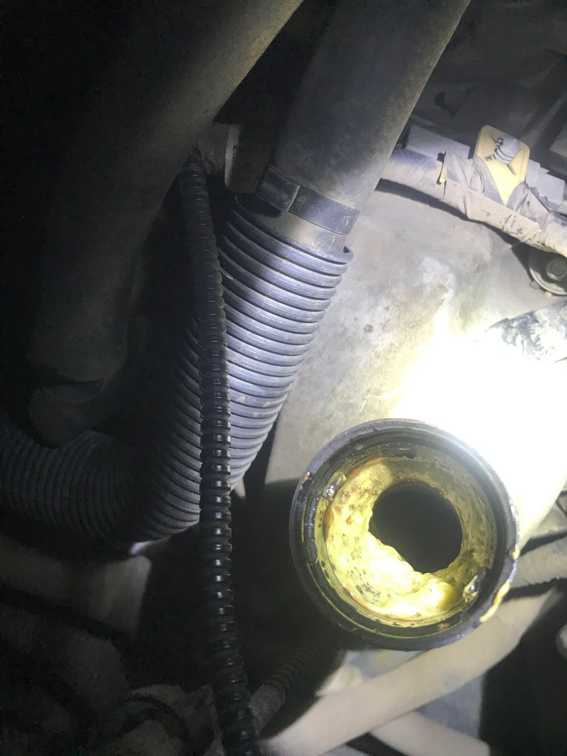 Yellow sludge on oil cap and fill tube Ford Truck Enthusiasts Forums